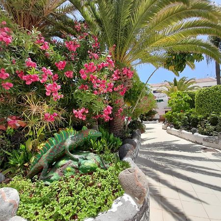 Parque Don Jose 390 Arona (Tenerife) Exterior photo