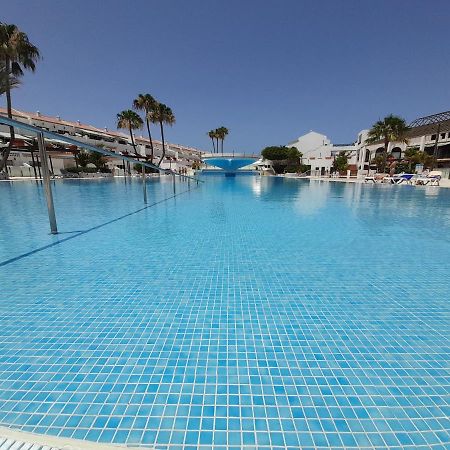 Parque Don Jose 390 Arona (Tenerife) Exterior photo