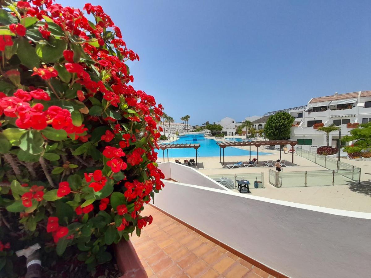 Parque Don Jose 390 Arona (Tenerife) Exterior photo